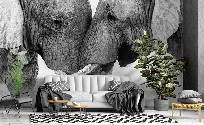 Liebe-so-gross-wie-ein-elefant-afrika-fototapeten-demur
