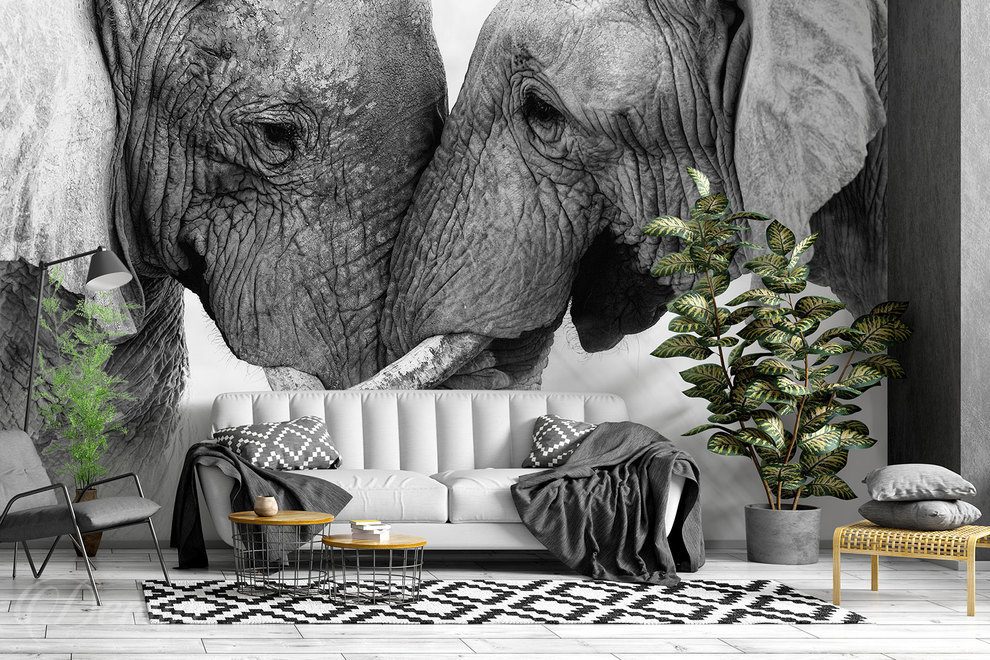 Liebe-so-gross-wie-ein-elefant-afrika-fototapeten-demur