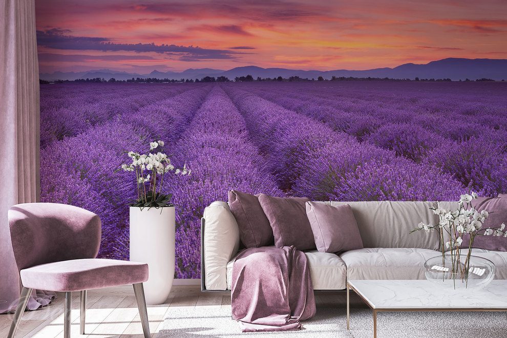 Lavendel bis zum - Fototapeten Horizont - Provence Demur –