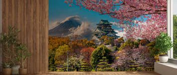 Die-magie-des-japanischen-fruhlings-landschaften-fototapeten-demur