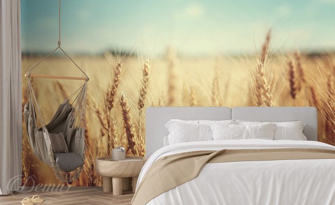 Goldenes-getreide-im-licht-eines-sommertages-landschaften-fototapeten-demur