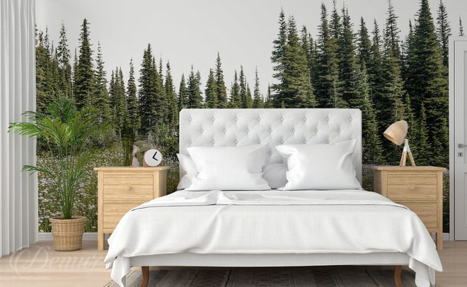 Waldlichtung-zwischen-majestatischen-fichten-fur-schlafzimmer-fototapeten-demur