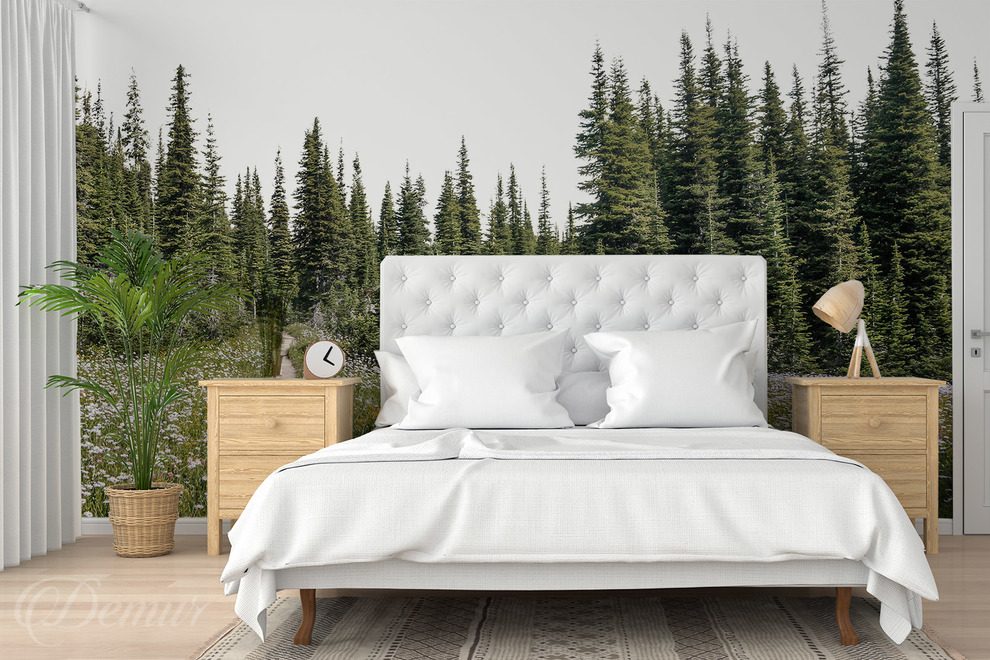 Waldlichtung-zwischen-majestatischen-fichten-fur-schlafzimmer-fototapeten-demur