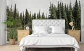 Waldlichtung-zwischen-majestatischen-fichten-fur-schlafzimmer-fototapeten-demur