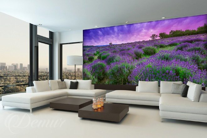 Lavendel-paradies-provence-fototapeten-demur