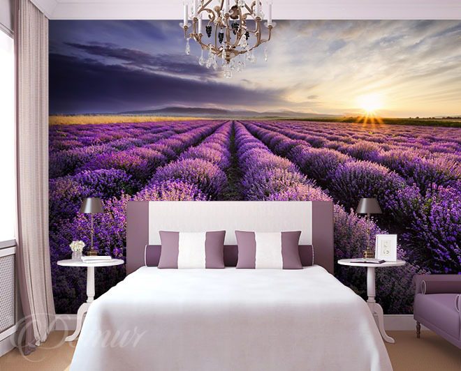 Lavendelfeld - - - Fototapeten Demur Provence